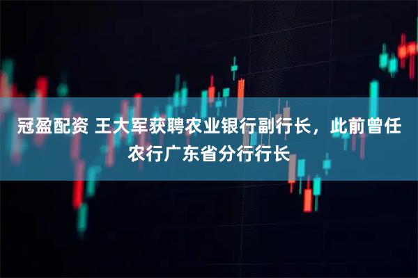 冠盈配资 王大军获聘农业银行副行长，此前曾任农行广东省分行行长