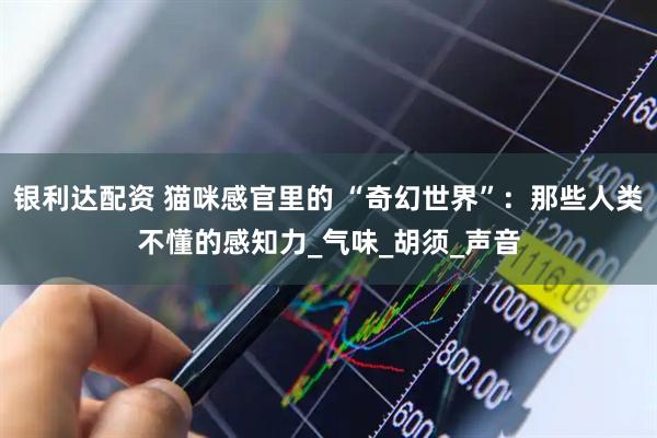 银利达配资 猫咪感官里的 “奇幻世界”：那些人类不懂的感知力_气味_胡须_声音